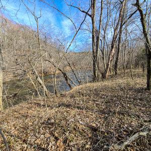 Photo #40 of Off Slow Water Court, Sandy Level, VA 10.6 acres