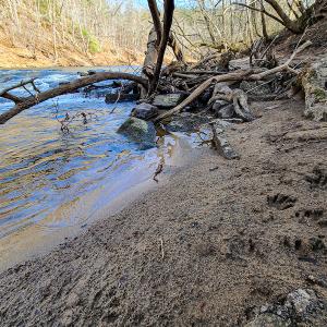 Photo #45 of Off Slow Water Court, Sandy Level, VA 10.6 acres