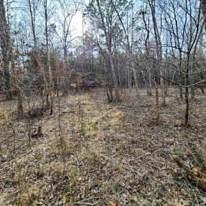 Photo #47 of Off Slow Water Court, Sandy Level, VA 10.6 acres
