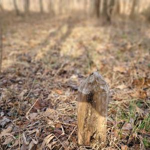 Photo #48 of Off Slow Water Court, Sandy Level, VA 10.6 acres