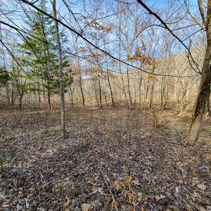 Photo #49 of Off Slow Water Court, Sandy Level, VA 10.6 acres