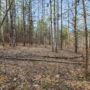 Photo #50 of Off Slow Water Court, Sandy Level, VA 10.6 acres