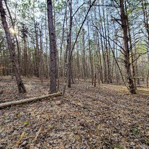 Photo #51 of Off Slow Water Court, Sandy Level, VA 10.6 acres