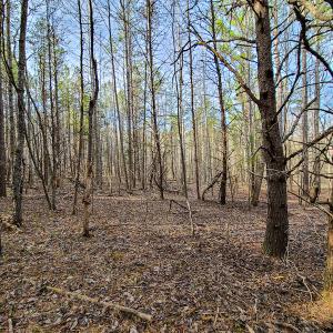 Photo #52 of Off Slow Water Court, Sandy Level, VA 10.6 acres