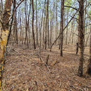 Photo #54 of Off Slow Water Court, Sandy Level, VA 10.6 acres