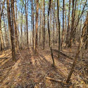 Photo #55 of Off Slow Water Court, Sandy Level, VA 10.6 acres