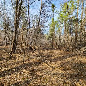 Photo #56 of Off Slow Water Court, Sandy Level, VA 10.6 acres