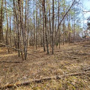 Photo #57 of Off Slow Water Court, Sandy Level, VA 10.6 acres