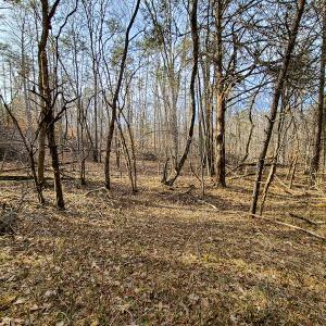 Photo #58 of Off Slow Water Court, Sandy Level, VA 10.6 acres