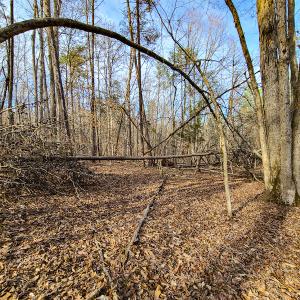 Photo #59 of Off Slow Water Court, Sandy Level, VA 10.6 acres