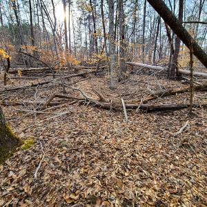 Photo #60 of Off Slow Water Court, Sandy Level, VA 10.6 acres