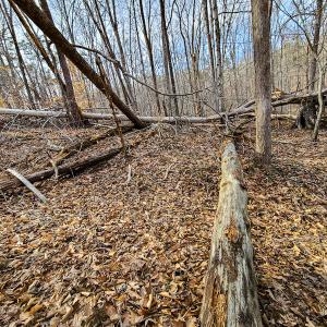 Photo #61 of Off Slow Water Court, Sandy Level, VA 10.6 acres