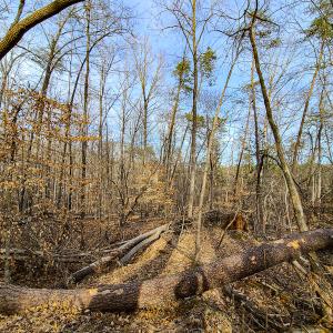 Photo #62 of Off Slow Water Court, Sandy Level, VA 10.6 acres