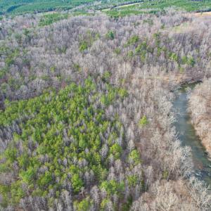 Photo #65 of Off Slow Water Court, Sandy Level, VA 10.6 acres