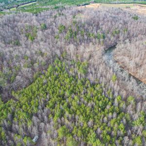 Photo #66 of Off Slow Water Court, Sandy Level, VA 10.6 acres