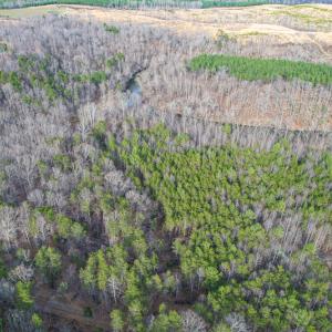 Photo #67 of Off Slow Water Court, Sandy Level, VA 10.6 acres