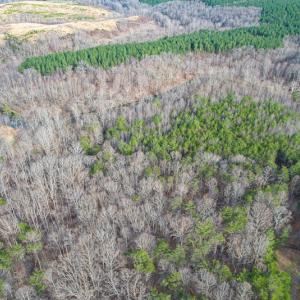Photo #68 of Off Slow Water Court, Sandy Level, VA 10.6 acres