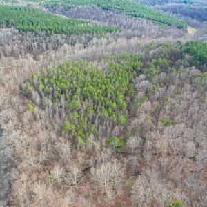 Photo #69 of Off Slow Water Court, Sandy Level, VA 10.6 acres