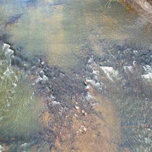 Photo #70 of Off Slow Water Court, Sandy Level, VA 10.6 acres