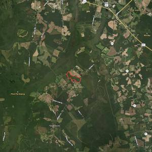 Photo #19 of SOLD property in 1312 Todd Road, Marion, SC 101.7 acres