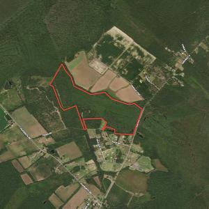 Photo #1 of SOLD property in 1312 Todd Road, Marion, SC 101.7 acres