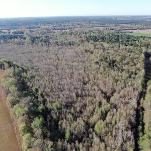 Photo #3 of SOLD property in 1312 Todd Road, Marion, SC 101.7 acres