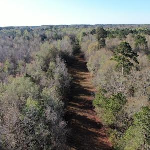 Photo #4 of SOLD property in 1312 Todd Road, Marion, SC 101.7 acres