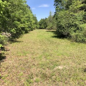 Photo #7 of SOLD property in 1312 Todd Road, Marion, SC 101.7 acres