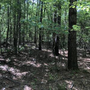 Photo #8 of SOLD property in 1312 Todd Road, Marion, SC 101.7 acres