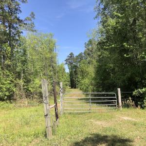 Photo #13 of SOLD property in 1312 Todd Road, Marion, SC 101.7 acres
