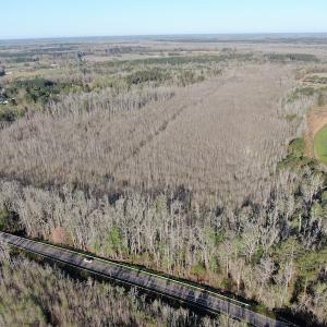 Photo #17 of SOLD property in 1312 Todd Road, Marion, SC 101.7 acres