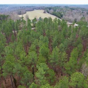 Photo #10 of SOLD property in Lot 20 Indian Caves Road East, Meadville, VA 20.0 acres
