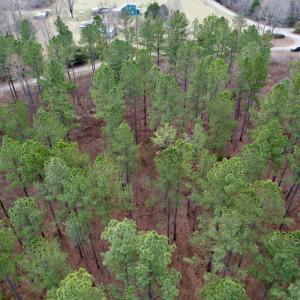Photo #11 of SOLD property in Lot 20 Indian Caves Road East, Meadville, VA 20.0 acres