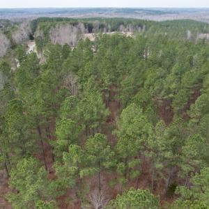Photo #12 of SOLD property in Lot 20 Indian Caves Road East, Meadville, VA 20.0 acres
