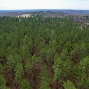 Photo #14 of SOLD property in Lot 20 Indian Caves Road East, Meadville, VA 20.0 acres