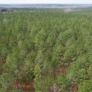 Photo #15 of SOLD property in Lot 20 Indian Caves Road East, Meadville, VA 20.0 acres