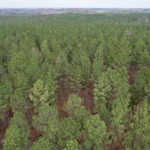 Photo #16 of SOLD property in Lot 20 Indian Caves Road East, Meadville, VA 20.0 acres