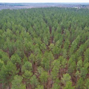 Photo #17 of SOLD property in Lot 20 Indian Caves Road East, Meadville, VA 20.0 acres