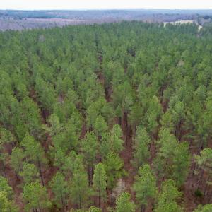 Photo #20 of SOLD property in Lot 20 Indian Caves Road East, Meadville, VA 20.0 acres