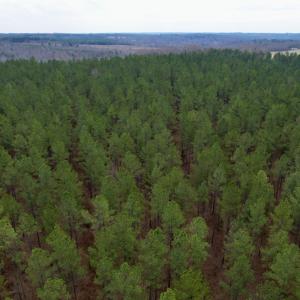 Photo #21 of SOLD property in Lot 20 Indian Caves Road East, Meadville, VA 20.0 acres