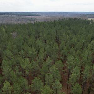 Photo #22 of SOLD property in Lot 20 Indian Caves Road East, Meadville, VA 20.0 acres