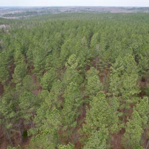 Photo #24 of SOLD property in Lot 20 Indian Caves Road East, Meadville, VA 20.0 acres