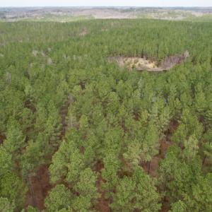 Photo #30 of SOLD property in Lot 20 Indian Caves Road East, Meadville, VA 20.0 acres