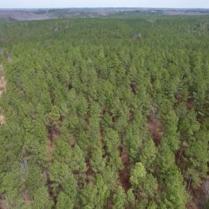 Photo #3 of SOLD property in Lot 20 Indian Caves Road East, Meadville, VA 20.0 acres