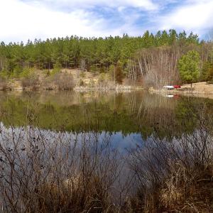 Photo #36 of SOLD property in Lot 20 Indian Caves Road East, Meadville, VA 20.0 acres