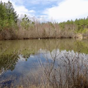 Photo #37 of SOLD property in Lot 20 Indian Caves Road East, Meadville, VA 20.0 acres