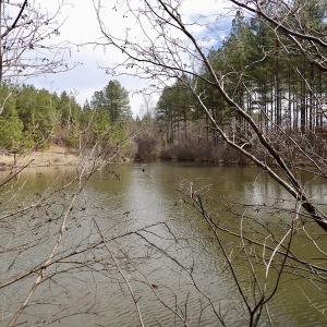 Photo #38 of SOLD property in Lot 20 Indian Caves Road East, Meadville, VA 20.0 acres