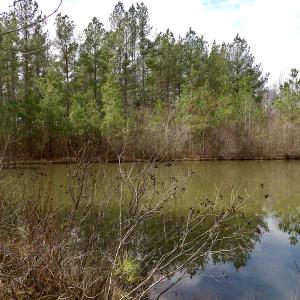Photo #40 of SOLD property in Lot 20 Indian Caves Road East, Meadville, VA 20.0 acres