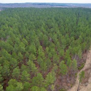 Photo #4 of SOLD property in Lot 20 Indian Caves Road East, Meadville, VA 20.0 acres