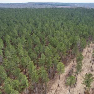 Photo #5 of SOLD property in Lot 20 Indian Caves Road East, Meadville, VA 20.0 acres